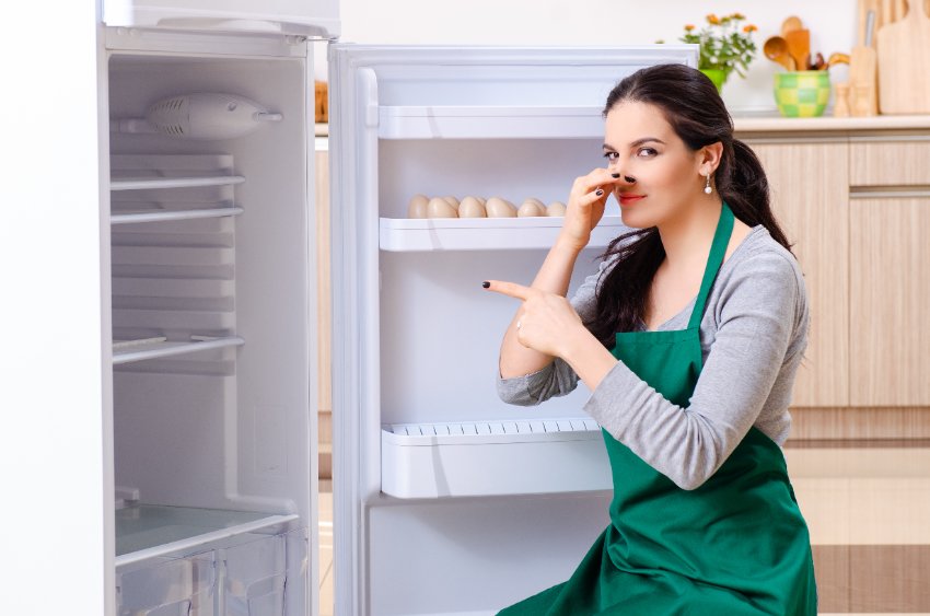 don't allow your fridge to be stinky